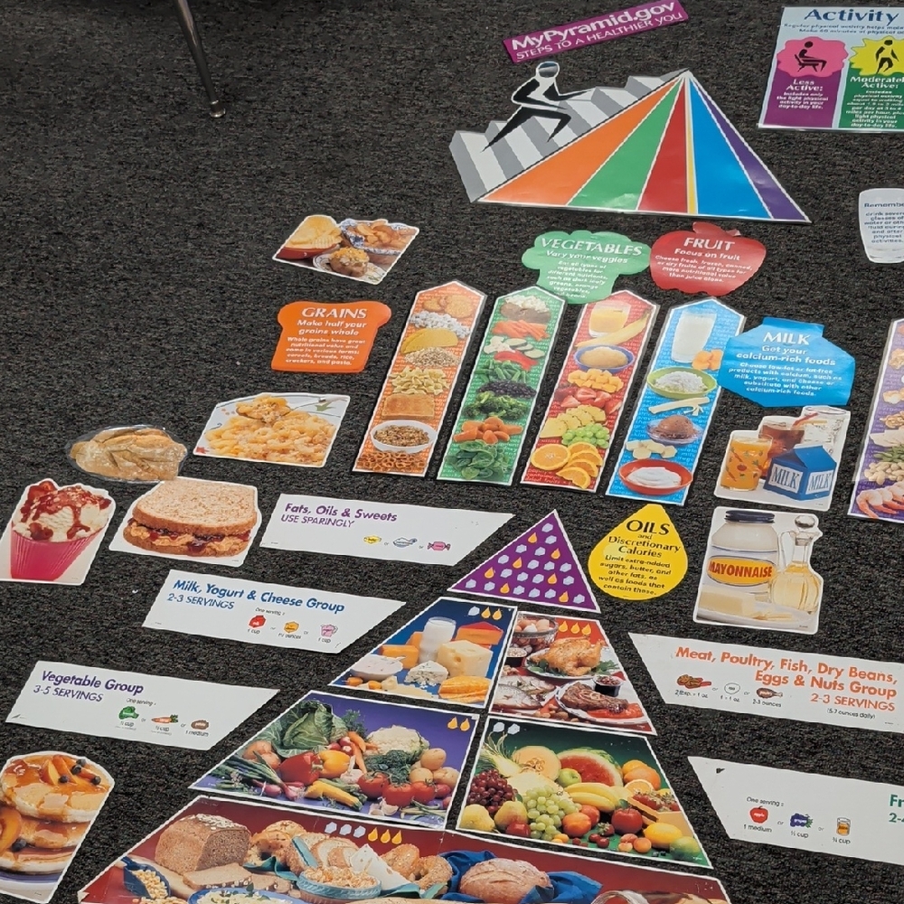 Colorful Food Pyramid Educational Chart Spanish English French HUGE!!!